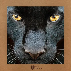 Black Panther Face XR T-Shirt