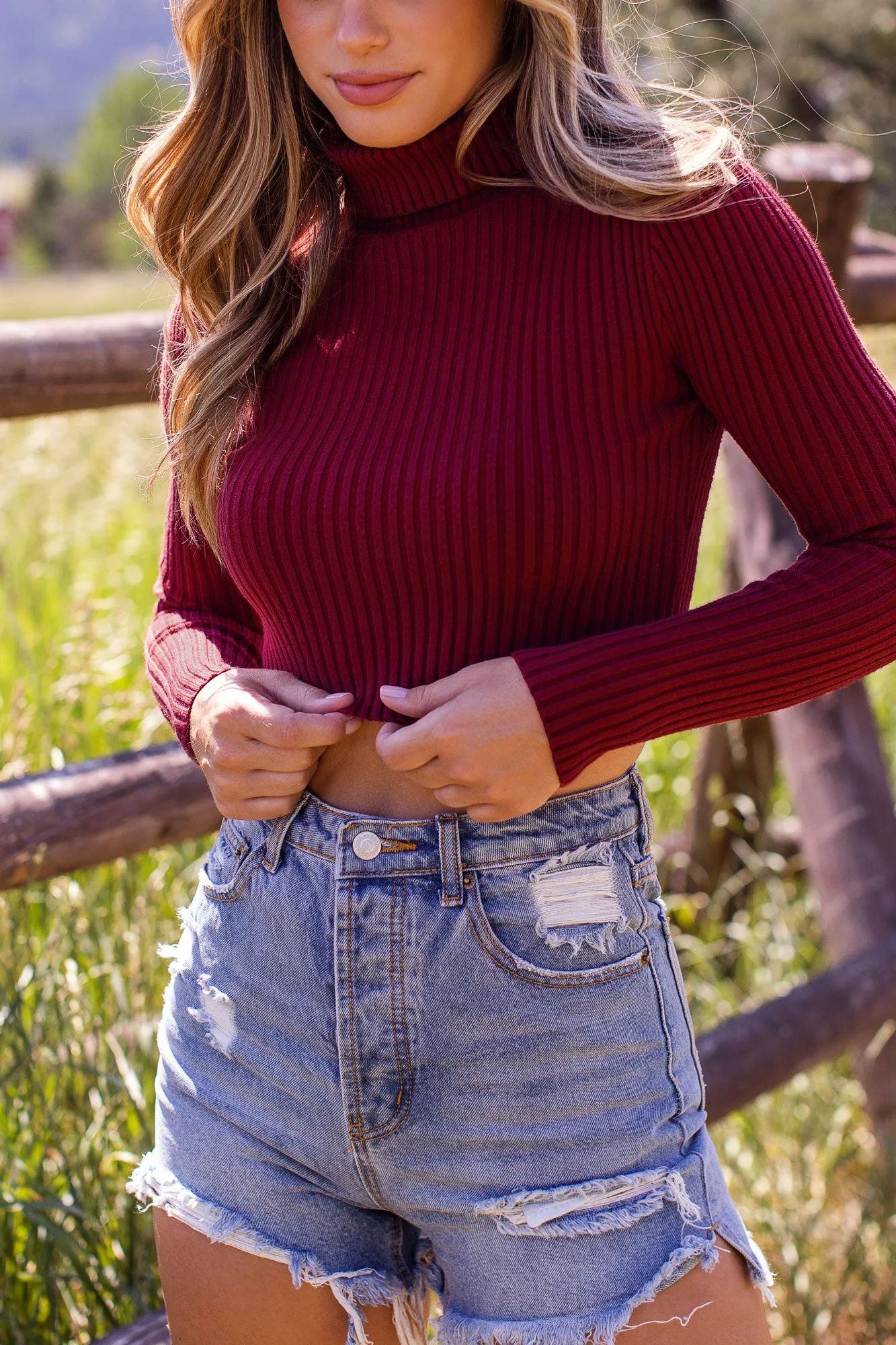 Hazy Burgundy Ribbed Crop Turtleneck Top