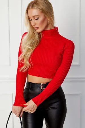 Hazy Red Ribbed Crop Turtleneck Top