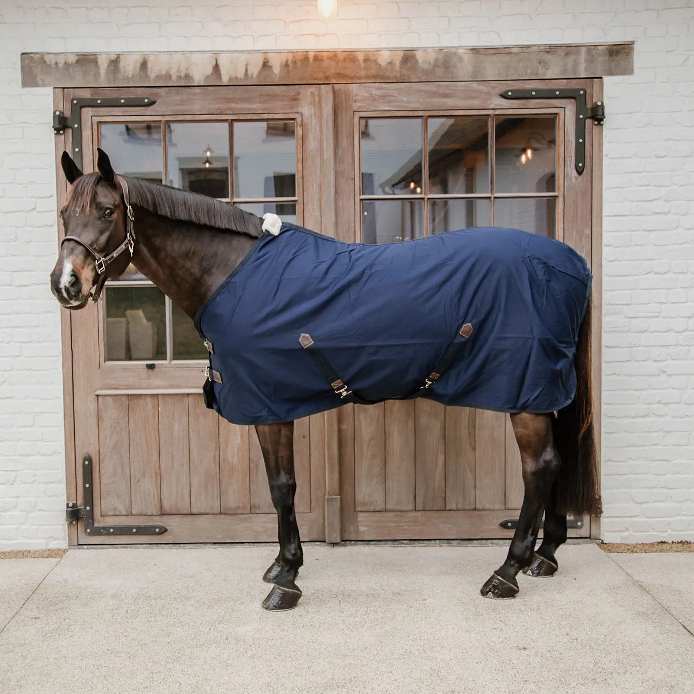 Kentucky Horsewear Cotton Sheet - Navy