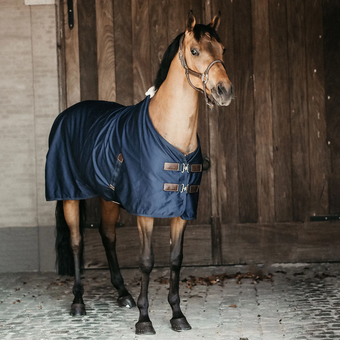 Kentucky Horsewear Cotton Sheet - Navy