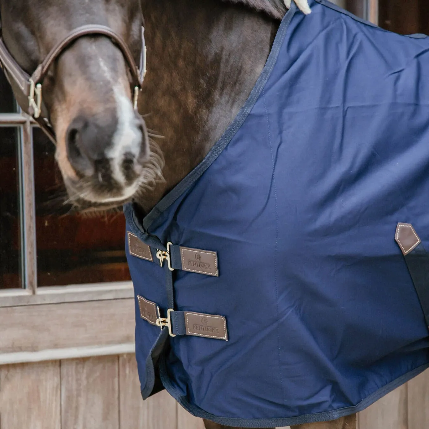 Kentucky Horsewear Cotton Sheet - Navy