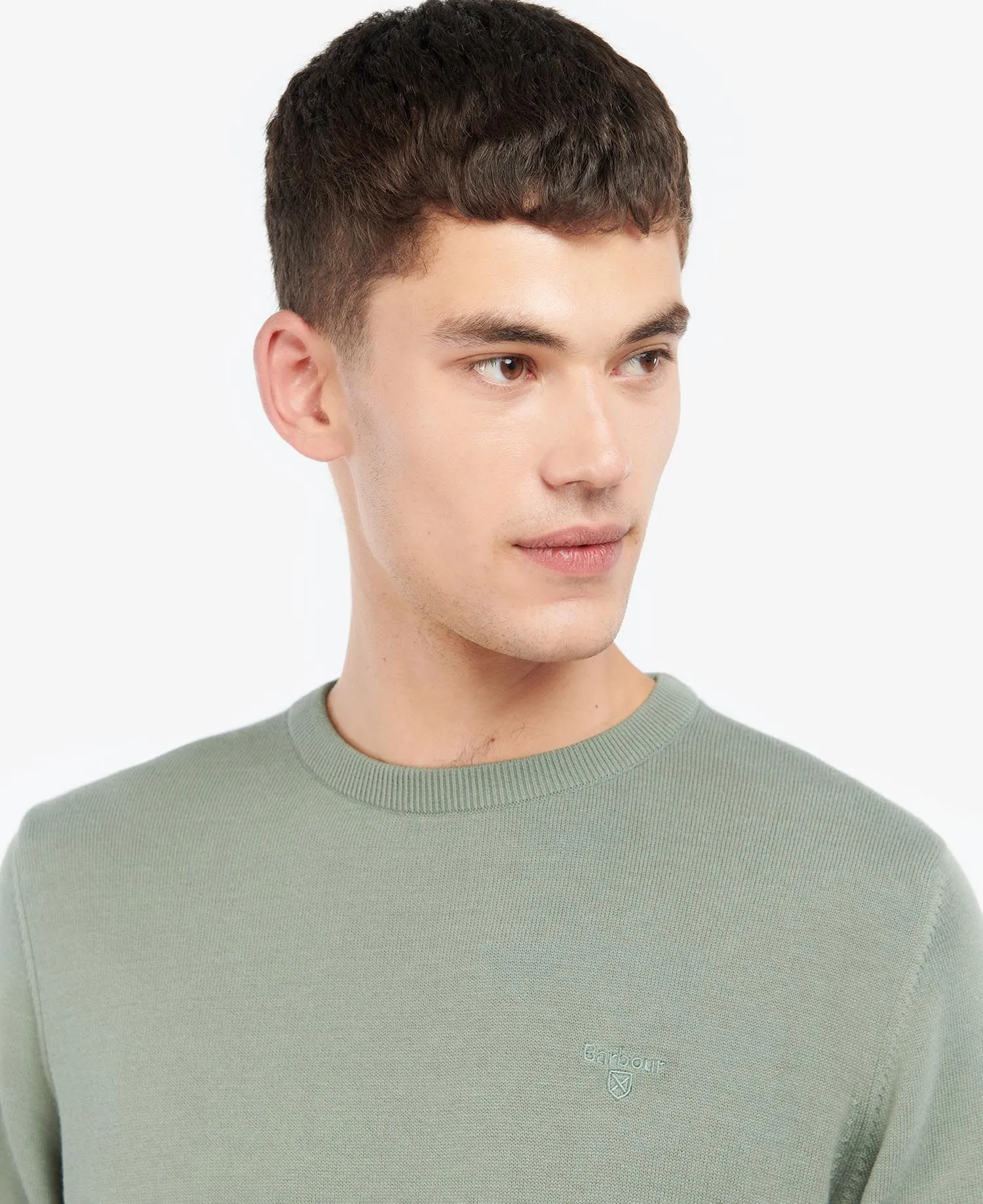 Men's Pima Cotton Crew Neck Sweater - Agave Green