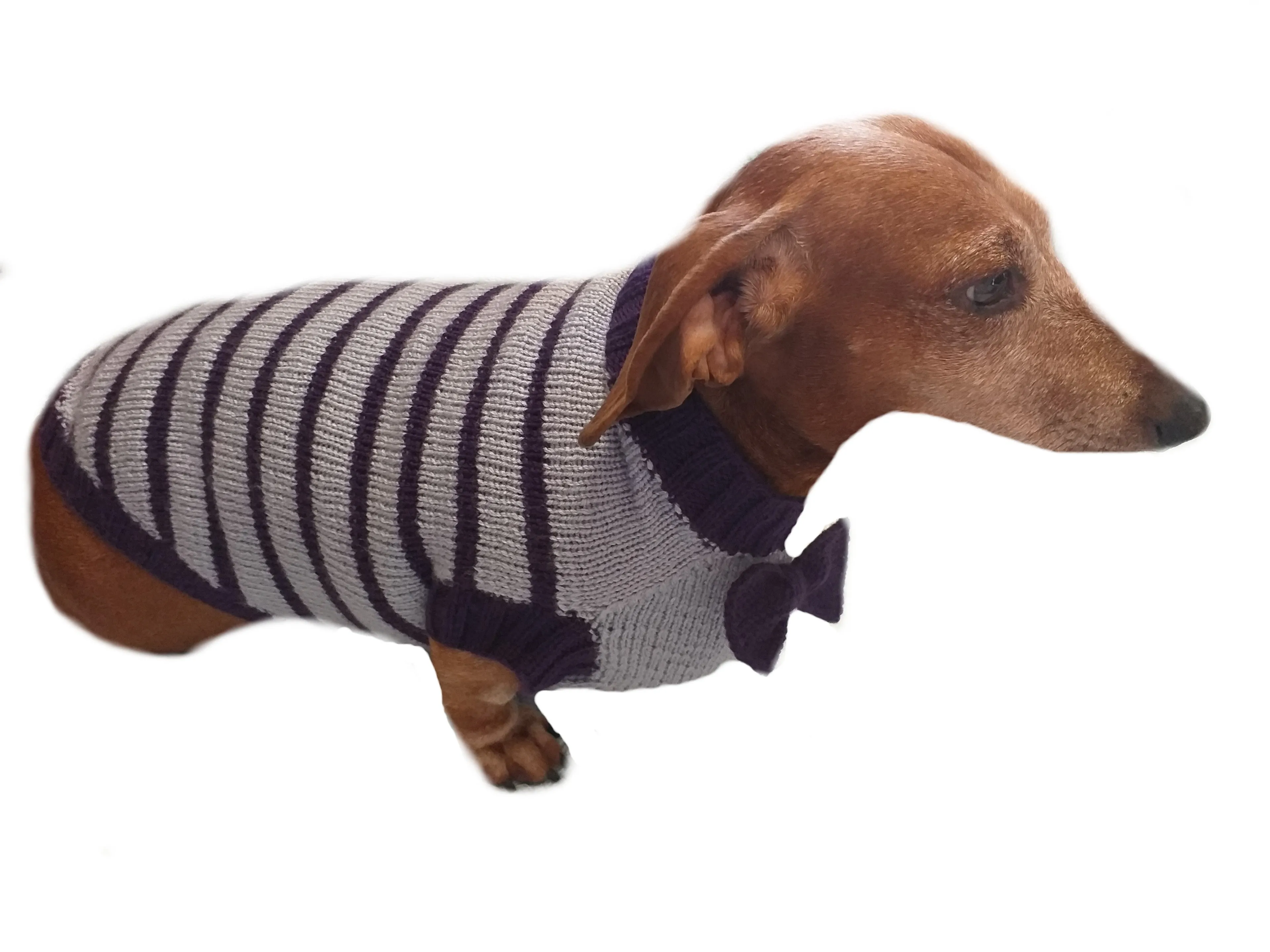 Purple striped knitted bow sweater for dachshund or small dog